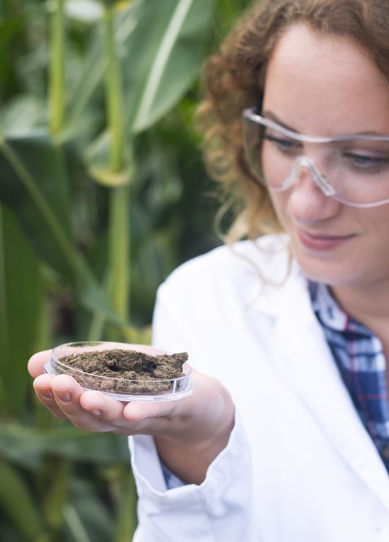 Female agronomist specialist examining soil sample for fertility Female agronomist specialist examining soil sample for fertility potential.