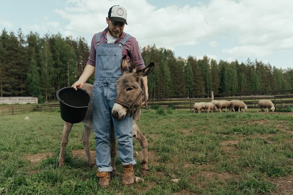 agrisoil